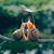 Patricia McDaniel's profile image