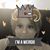 Megan Marriott's profile image
