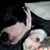 Carla Mock's profile image