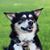 Pam Shuttleworth's profile image