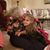 Mari Anne Brocker Curry's profile image