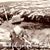 Charu Anne Slawek Robertson's profile image