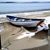 Lynne Carden Beach's profile image