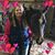 Sandy Feltmeyer Gilliam's profile image