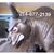 Mariana Malish Perez's profile image