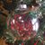 Sandra Williams Updike's profile image