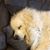 Paula Heeley's profile image