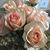 Marijke Spencer Goldinger's profile image