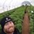 Dan Troyer's profile image