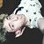 Jakub Kuźma's profile image