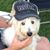 JD Larocca's profile image