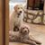 Sandra Watson Taylor's profile image