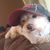 Pascual Perez's profile image