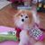 Rosemarie Alliva's profile image