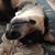 Marian Waldman's profile image