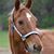 Gail Moore's profile image