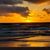 Annette Currier's profile image
