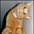 Gail Cooper's profile image