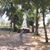 Ana Karbojian-Heredia's profile image
