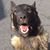 Tracy King's profile image