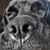 Cristiana Savore's profile image