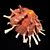 Russell Drury's profile image