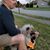 Tony Gillman's profile image