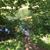 Dixie Ebersole Lamphear's profile image