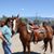 Colleen Neil Carroll's profile image
