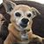 Lori Luna's profile image
