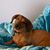 Robbie Gibbons Wilks's profile image