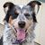 Betsy Thompson Cooper's profile image