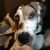 Pamela Cooke Dale's profile image