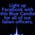 Tiffany Yarborough Wilkins's profile image