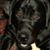 Eleanor O'Bryan Runkle's profile image