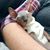 Antonio Garcia T's profile image
