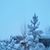 Margaret Mazolewski's profile image