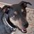 Rick Roark's profile image