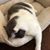 Celia Dye's profile image