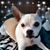 Beverly Wanner Herbein's profile image