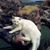 Ricky-Suzanne Bess's profile image
