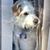 Tessa Unwin's profile image