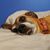 Wendy Lynn Haithcock's profile image