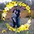 Tasha Crosby's profile image