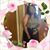 Tasha McCants-Scott's profile image