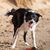 Dave Wild's profile image