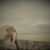 Laura Brown's profile image