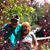 Evelyn Fearns-Cresse's profile image