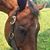 Kim Elsinger Fuller's profile image