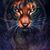 Bryan J. King's profile image